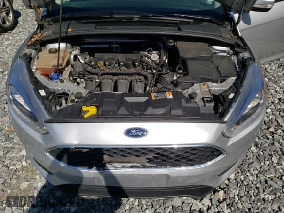 ✅ 2016 Ford Focus SE • VIN: 1FADP3F2XGL375416 • Lot: 56629555. Listed on Copart with 52,006 mi. Free auction sales archive from the USA and detailed vehicle history report at DreamBid. Image 11.