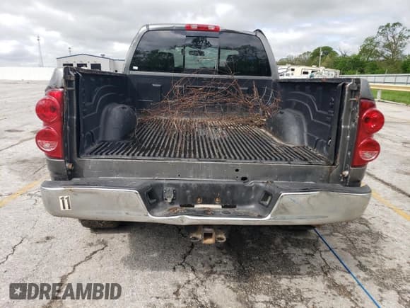 ✅ 2008 Dodge 1500 SLT • VIN: 1D7HU18208S601403 • Lot: 54615345. Wystawiony na Copart z przebiegiem 245 810 mil. Bezpłatny archiwum sprzedaży aukcyjnych z USA i szczegółowy raport historii pojazdu na DreamBid. Zdjęcie 6.