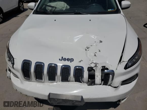 ✅ 2015 Jeep Cherokee Latitude • VIN: 1C4PJMCS6FW565276 • Lot: 54930655. Wystawiony na Copart z przebiegiem 126 752 mil. Bezpłatny archiwum sprzedaży aukcyjnych z USA i szczegółowy raport historii pojazdu na DreamBid. Zdjęcie 12.