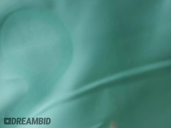 2016 Chevrolet Colorado 4WD WT с VIN 1GCHTBEA1G1234529, выставлен на аукционе Copart как лот 55652955 с пробегом Не указан миль и Списание • Salvage title. История ставок и продаж доступна на DreamBid. Изображение 8.