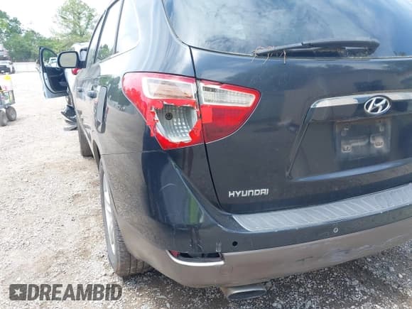 ✅ 2008 Hyundai Veracruz GLS • VIN: KM8NU13C48U065777 • Lot: 42176461. Listed on IAAI with 324,976 mi. Free auction sales archive from the USA and detailed vehicle history report at DreamBid. Image 6.