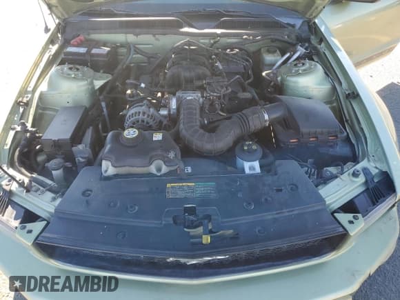 ✅ 2006 Ford Mustang Standard • VIN: 1ZVHT80N165136621 • Lot: 85731305. Wystawiony na Copart z przebiegiem 104 396 mil. Bezpłatny archiwum sprzedaży aukcyjnych z USA i szczegółowy raport historii pojazdu na DreamBid. Zdjęcie 11.