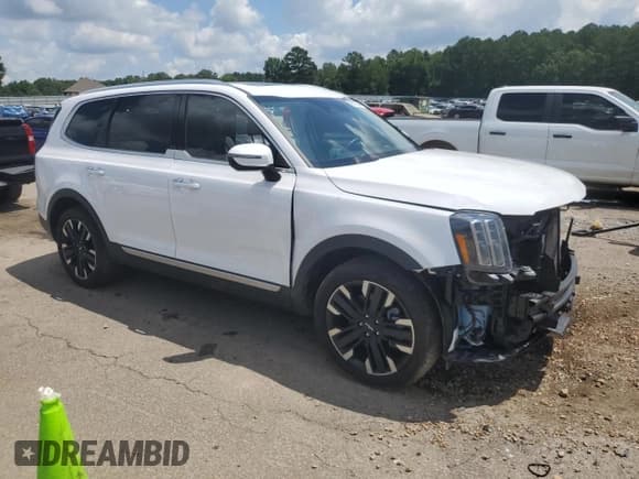 ✅ 2024 Kia Telluride SX • VIN: 5XYP54GC4RG474306 • Lot: 62872305. Wystawiony na Copart z przebiegiem 23 758 mil. Bezpłatny archiwum sprzedaży aukcyjnych z USA i szczegółowy raport historii pojazdu na DreamBid. Zdjęcie 4.