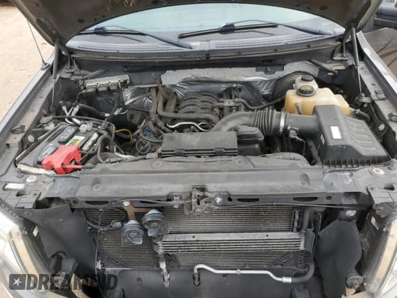 ✅ 2013 Ford F-150 XLT • VIN: 1FTFX1CFXDFA12297 • Lot: 86239445. Wystawiony na Copart z przebiegiem 62 516 mil. Bezpłatny archiwum sprzedaży aukcyjnych z USA i szczegółowy raport historii pojazdu na DreamBid. Zdjęcie 11.