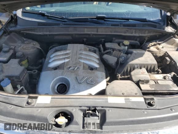 ✅ 2007 Hyundai Veracruz GLS • VIN: KM8NU73CX7U016603 • Lot: 55824595. Listed on Copart with 131,942 mi. Free auction sales archive from the USA and detailed vehicle history report at DreamBid. Image 12.