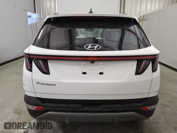 ✅ 2024 Hyundai Tucson Limited • VIN: 5NMJE3DEXRH351864 • Lot: 79528004. Wystawiony na Copart z przebiegiem 28 987 mil. Bezpłatny archiwum sprzedaży aukcyjnych z USA i szczegółowy raport historii pojazdu na DreamBid. Zdjęcie 6.