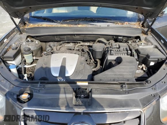 ✅ 2011 Hyundai Santa Fe GLS • VIN: 5XYZGDAG0BG012202 • Lot: 76364974. Listed on Copart with 108,287 mi. Free auction sales archive from the USA and detailed vehicle history report at DreamBid. Image 12.