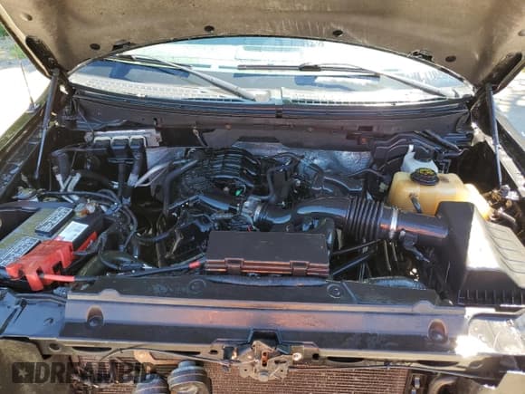 ✅ 2011 Ford F-150 XL • VIN: 1FTEX1EM1BFA23158 • Lot: 65910575. Wystawiony na Copart z przebiegiem 177 261 mil. Bezpłatny archiwum sprzedaży aukcyjnych z USA i szczegółowy raport historii pojazdu na DreamBid. Zdjęcie 11.