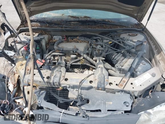 ✅ 2004 Chevrolet Monte Carlo LS • VIN: 2G1WW12E949340887 • Lot: 39404025. Listed on IAAI with 224,193 mi. Free auction sales archive from the USA and detailed vehicle history report at DreamBid. Image 10.