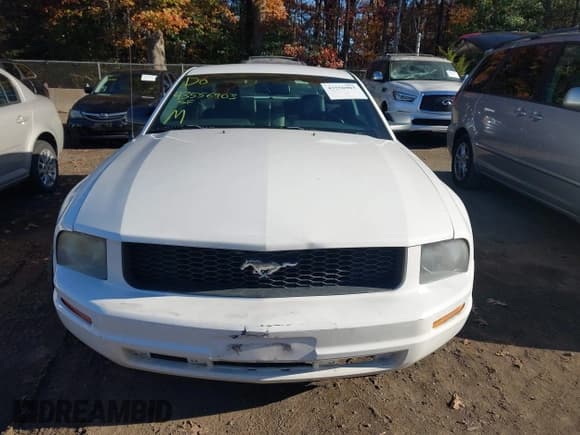 ✅ 2007 Ford Mustang Deluxe • VIN: 1ZVFT80N475351354 • Lot: 43556903. Wystawiony na IAAI z przebiegiem 250 306 mil. Bezpłatny archiwum sprzedaży aukcyjnych z USA i szczegółowy raport historii pojazdu na DreamBid. Zdjęcie 12.