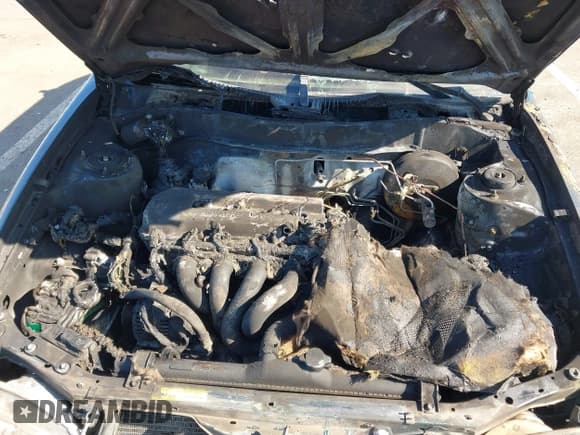 ✅ 1999 Toyota Corolla VE • VIN: 2T1BR12E1XC200396 • Lot: 42814852. Listed on IAAI with Not provided. Free auction sales archive from the USA and detailed vehicle history report at DreamBid. Image 10.