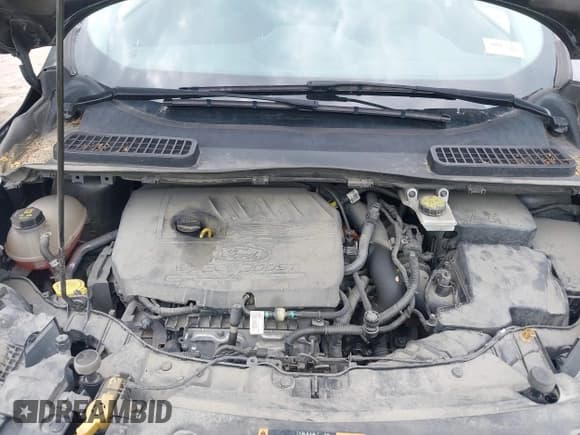 ✅ 2017 Ford Escape SE • VIN: 1FMCU9GD3HUD71233 • Лот: 42449711. Опубликован ранее на IAAI с пробегом 107 666 миль. Бесплатный доступ к архиву аукционных продаж из США и подробный отчёт об истории автомобиля на DreamBid. Изображение 10.