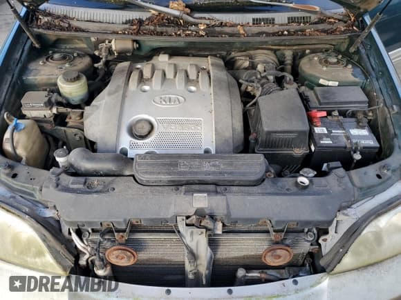 ✅ 2003 Kia Sedona LX • VIN: KNDUP131436436987 • Lot: 51501555. Listed on Copart with Not provided. Free auction sales archive from the USA and detailed vehicle history report at DreamBid. Image 12.