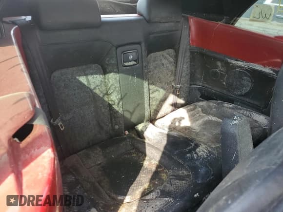 ✅ 2007 Volkswagen Beetle • VIN: 3VWSF31Y87M422874 • Lot: 75094774. Listed on Copart with Not provided. Free auction sales archive from the USA and detailed vehicle history report at DreamBid. Image 10.