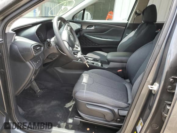 ✅ 2020 Hyundai Santa Fe SE • VIN: 5NMS23AD4LH261397 • Lot: 55644474. Wystawiony na Copart z przebiegiem 41 662 mil. Bezpłatny archiwum sprzedaży aukcyjnych z USA i szczegółowy raport historii pojazdu na DreamBid. Zdjęcie 7.