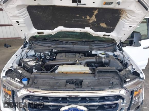 ✅ 2022 Ford F-150 XL • VIN: 1FTFW1E87NFB85116 • Lot: 42579603. Listed on IAAI with 21,015 mi. Free auction sales archive from the USA and detailed vehicle history report at DreamBid. Image 10.