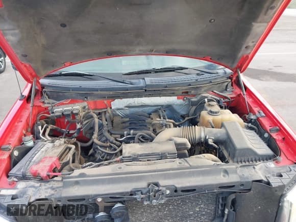 ✅ 2011 Ford F-150 FX4 • VIN: 1FTFX1EF8BFA64523 • Lot: 43374130. Listed on IAAI with 172,991 mi. Free auction sales archive from the USA and detailed vehicle history report at DreamBid. Image 10.