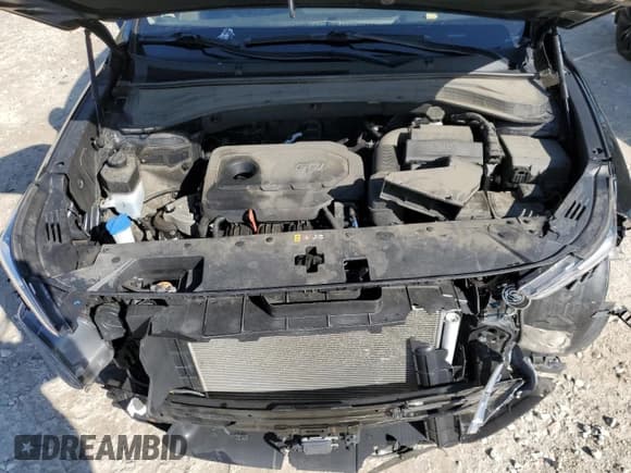 ✅ 2020 Hyundai Santa Fe SEL • VIN: 5NMS3CAD8LH284016 • Lot: 54411384. Wystawiony na Copart z przebiegiem 65 453 mil. Bezpłatny archiwum sprzedaży aukcyjnych z USA i szczegółowy raport historii pojazdu na DreamBid. Zdjęcie 11.