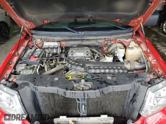 ✅ 2004 Ford F-150 XLT • VIN: 1FTRF04564KD85392 • Lot: 66686644. Wystawiony na Copart z przebiegiem 61 289 mil. Bezpłatny archiwum sprzedaży aukcyjnych z USA i szczegółowy raport historii pojazdu na DreamBid. Zdjęcie 11.