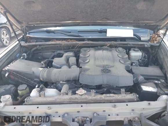 ✅ 2019 Toyota 4Runner SR5 • VIN: JTEBU5JR8K5670176 • Лот: 42744056. Опубликован ранее на IAAI с пробегом 138 055 миль. Бесплатный доступ к архиву аукционных продаж из США и подробный отчёт об истории автомобиля на DreamBid. Изображение 10.