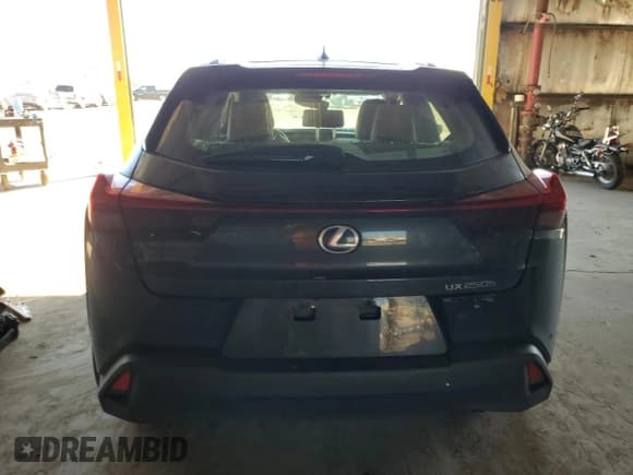 ✅ 2021 Lexus UX 250h • VIN: JTHP9JBH7M2052361 • Лот: 80718545. Опубликован ранее на Copart с пробегом 83 813 миль. Бесплатный доступ к архиву аукционных продаж из США и подробный отчёт об истории автомобиля на DreamBid. Изображение 6.