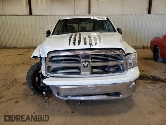 ✅ 2010 Dodge 1500 SLT • VIN: 1D7RV1CT5AS154106 • Lot: 49603705. Wystawiony na Copart z przebiegiem Nie podano. Bezpłatny archiwum sprzedaży aukcyjnych z USA i szczegółowy raport historii pojazdu na DreamBid. Zdjęcie 5.