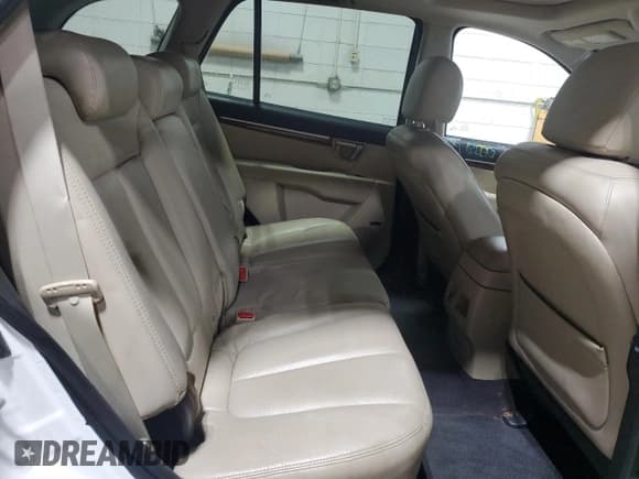 ✅ 2008 Hyundai Santa Fe SE • VIN: 5NMSH13E98H185076 • Lot: 79198994. Listed on Copart with 239,334 mi. Free auction sales archive from the USA and detailed vehicle history report at DreamBid. Image 11.