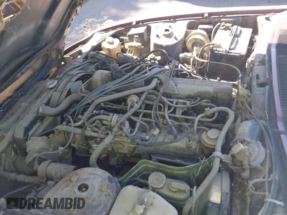 ✅ 1982 Datsun 280ZX • VIN: JN1HZ04S9CX455903 • Lot: 42465455. Wystawiony na IAAI z przebiegiem Nie podano. Bezpłatny archiwum sprzedaży aukcyjnych z USA i szczegółowy raport historii pojazdu na DreamBid. Zdjęcie 10.