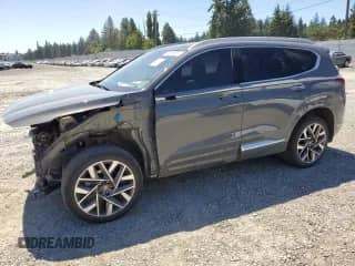 2022 Hyundai Santa Fe Calligraphy with VIN 5NMS5DAL2NH453067, listed as a Copart auction lot 64519815 with 36,161 mi miles and Salvage title. Bid and sale history available at DreamBid. Image 1.