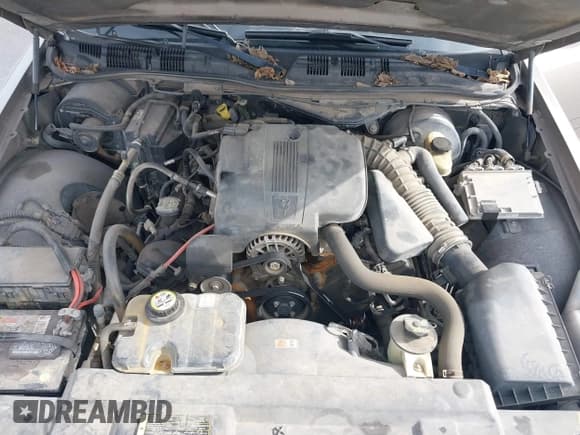 ✅ 2005 Ford Crown Victoria Standard • VIN: 2FAFP73W65X114422 • Lot: 41301890. Listed on IAAI with 209,199 mi. Free auction sales archive from the USA and detailed vehicle history report at DreamBid. Image 10.