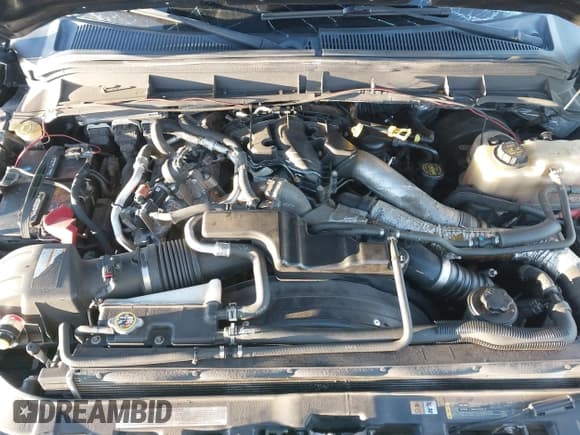 ✅ 2014 Ford F-250 Lariat • VIN: 1FT7W2BT8EEB15309 • Lot: 43712493. Listed on IAAI with 203,336 mi. Free auction sales archive from the USA and detailed vehicle history report at DreamBid. Image 10.