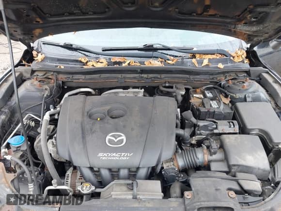 ✅ 2016 Mazda 3 i Touring • VIN: JM1BM1W72G1333876 • Lot: 43386885. Wystawiony na IAAI z przebiegiem 158 017 mil. Bezpłatny archiwum sprzedaży aukcyjnych z USA i szczegółowy raport historii pojazdu na DreamBid. Zdjęcie 9.