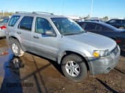 ✅ 2007 Ford Escape XLS • VIN: 1FMCU02Z97KA20528 • Lot: 43528799. Listed on IAAI with Not provided. Free auction sales archive from the USA and detailed vehicle history report at DreamBid. Image 1.