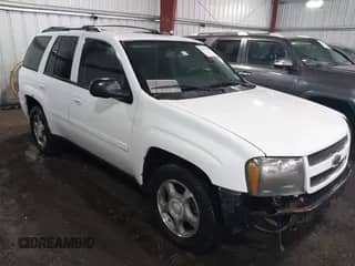 2009 Chevrolet TrailBlazer 1LT z VIN 1GNDT33SX92133266, wystawiony jako IAAI lot #42072499 z przebiegiem 113 060 mil mil oraz . Historia ofert i sprzedaży dostępna na DreamBid. Obrazek 1.