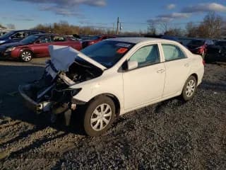 ✅ 2010 Toyota Corolla LE • VIN: 1NXBU4EE9AZ325177 • Lot: 93151525. Listed on Copart with Not provided. Free auction sales archive from the USA and detailed vehicle history report at DreamBid. Image 1.