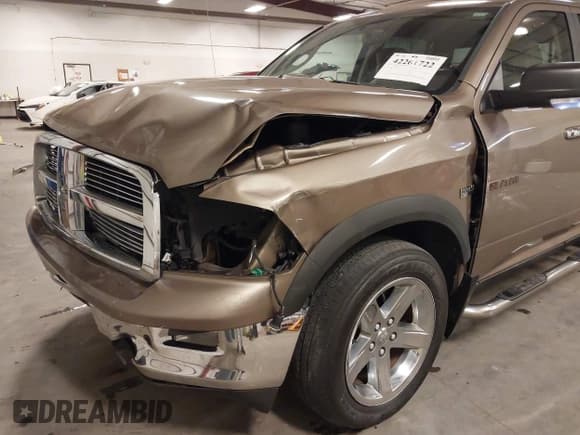 ✅ 2010 Dodge 1500 Sport • VIN: 1D7RV1CT9AS206773 • Lot: 42261722. Wystawiony na IAAI z przebiegiem 266 310 mil. Bezpłatny archiwum sprzedaży aukcyjnych z USA i szczegółowy raport historii pojazdu na DreamBid. Zdjęcie 19.