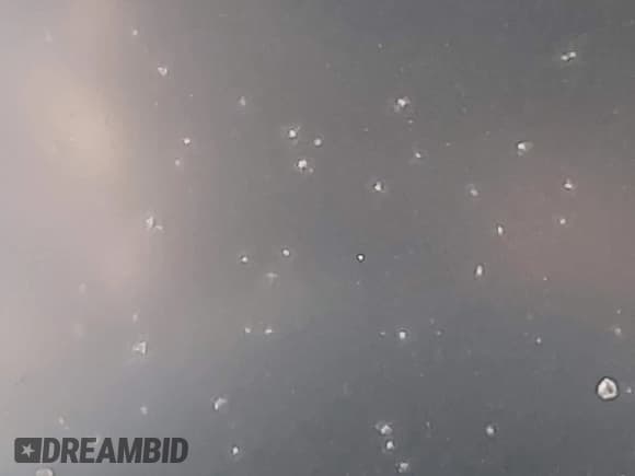 ✅ 2021 Alfa Romeo Giulia Ti Sport • VIN: ZARFAMBN8M7645229 • Lot: 41950202. Listed on IAAI with Not provided. Free auction sales archive from the USA and detailed vehicle history report at DreamBid. Image 15.