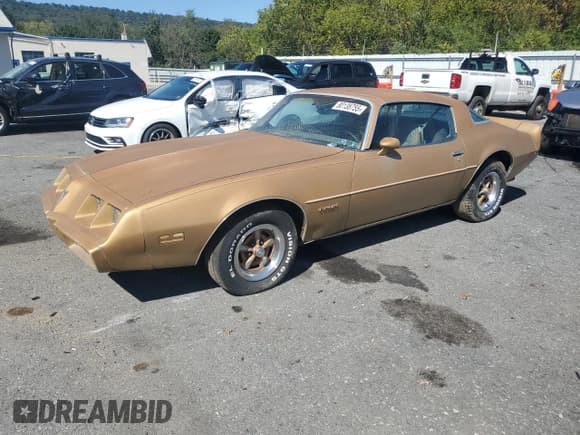 ✅ 1981 Pontiac Firebird • VIN: 1G2AS87A5BN111438 • Lot: 80138755. Wystawiony na Copart z przebiegiem 85 243 mil. Bezpłatny archiwum sprzedaży aukcyjnych z USA i szczegółowy raport historii pojazdu na DreamBid. Zdjęcie 1.