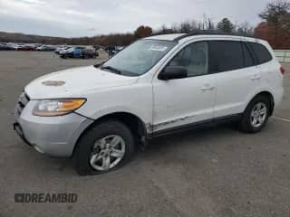 2009 Hyundai Santa Fe GLS with VIN 5NMSG13D99H297954, listed as a Copart auction lot 89644455 with 150,503 mi miles and Salvage title. Bid and sale history available at DreamBid. Image 1.