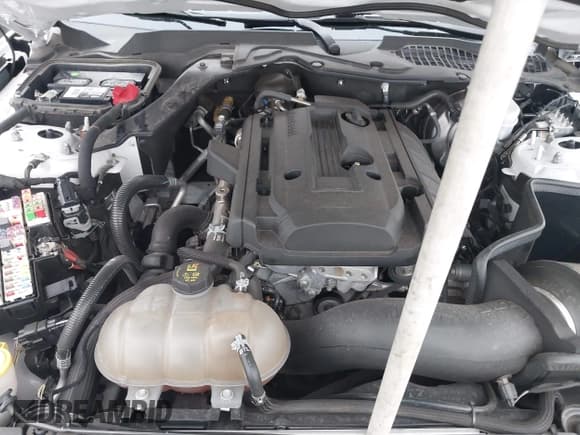 ✅ 2019 Ford Mustang EcoBoost • VIN: 1FA6P8TH6K5176777 • Lot: 42094651. Listed on IAAI with 51,641 mi. Free auction sales archive from the USA and detailed vehicle history report at DreamBid. Image 10.