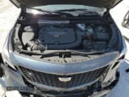 ✅ 2021 Cadillac XT4 AWD Premium Luxury • VIN: 1GYFZDR41MF035818 • Lot: 48862495. Wystawiony na Copart z przebiegiem 33 498 mil. Bezpłatny archiwum sprzedaży aukcyjnych z USA i szczegółowy raport historii pojazdu na DreamBid. Zdjęcie 12.