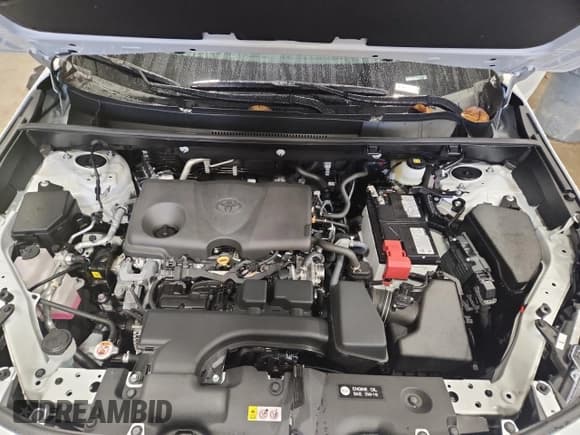 ✅ 2025 Toyota RAV4 XLE Premium • VIN: 2T3A1RFV5SW532013 • Lot: 92033095. Listed on Copart with 1,900 mi. Free auction sales archive from the USA and detailed vehicle history report at DreamBid. Image 12.