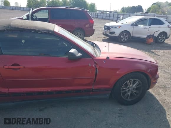 ✅ 2006 Ford Mustang Standard • VIN: 1ZVFT84N365190097 • Lot: 42015242. Listed on IAAI with Not provided. Free auction sales archive from the USA and detailed vehicle history report at DreamBid. Image 16.
