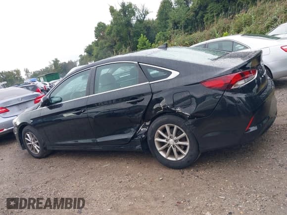 ✅ 2018 Hyundai Sonata Eco • VIN: 5NPE24AA3JH673948 • Лот: 43204159. Опубликован ранее на IAAI с пробегом 93 053 миль. Бесплатный доступ к архиву аукционных продаж из США и подробный отчёт об истории автомобиля на DreamBid. Изображение 14.