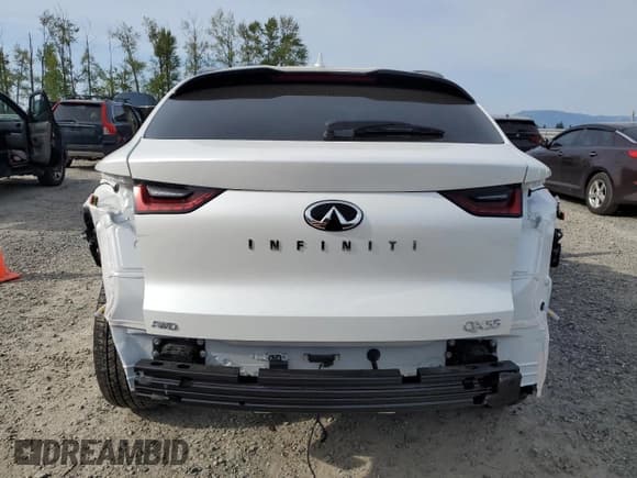 ✅ 2025 Infiniti QX55 Essential • VIN: 3PCAJ5KRXSF100301 • Лот: 54880725. Опубликован ранее на Copart с пробегом 1 425 миль. Бесплатный доступ к архиву аукционных продаж из США и подробный отчёт об истории автомобиля на DreamBid. Изображение 6.