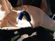 ✅ 2017 Toyota RAV4 XLE • VIN: JTMWFREV7HD101882 • Lot: 43468027. Wystawiony na IAAI z przebiegiem Nie podano. Bezpłatny archiwum sprzedaży aukcyjnych z USA i szczegółowy raport historii pojazdu na DreamBid. Zdjęcie 11.