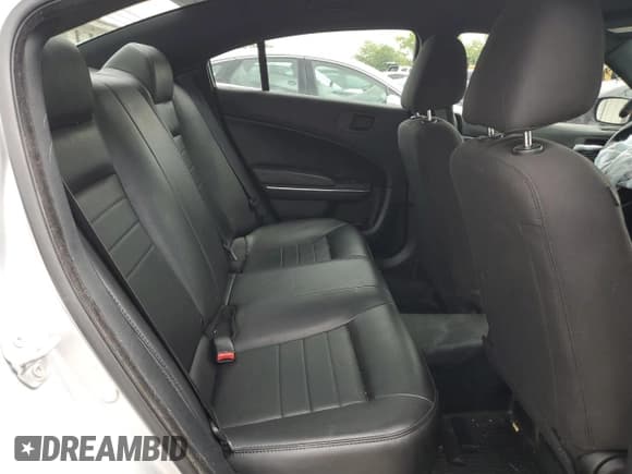 ✅ 2018 Dodge Charger Police • VIN: 2C3CDXKT1JH189163 • Lot: 65536865. Wystawiony na Copart z przebiegiem 142 961 mil. Bezpłatny archiwum sprzedaży aukcyjnych z USA i szczegółowy raport historii pojazdu na DreamBid. Zdjęcie 10.