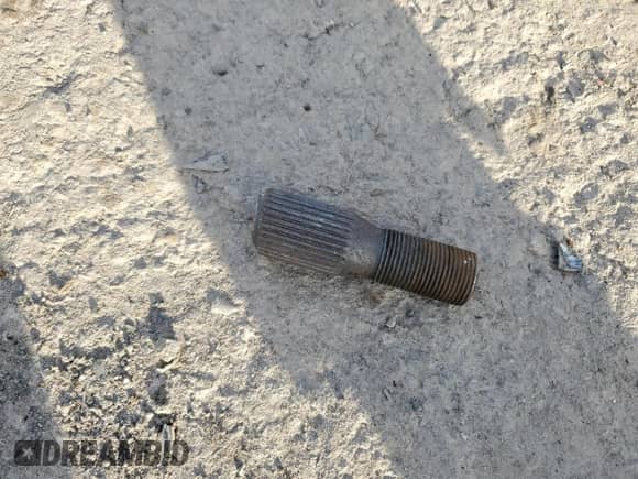 2005 Chevrolet Corvette with VIN 1G1YY34U755127843, listed as a Copart auction lot 81129044 with 59,009 mi miles and Salvage title. Bid and sale history available at DreamBid. Image 12.