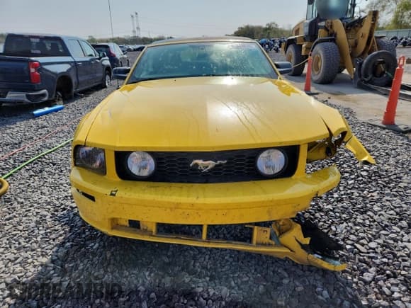 ✅ 2006 Ford Mustang GT Deluxe • VIN: 1ZVFT85H565203196 • Lot: 86549615. Listed on Copart with 100,920 mi. Free auction sales archive from the USA and detailed vehicle history report at DreamBid. Image 5.
