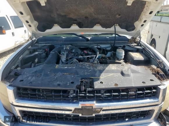 ✅ 2010 Chevrolet Silverado 2500HD LT • VIN: 1GC4KXB62AF119964 • Lot: 64187695. Wystawiony na Copart z przebiegiem 159 844 mil. Bezpłatny archiwum sprzedaży aukcyjnych z USA i szczegółowy raport historii pojazdu na DreamBid. Zdjęcie 11.